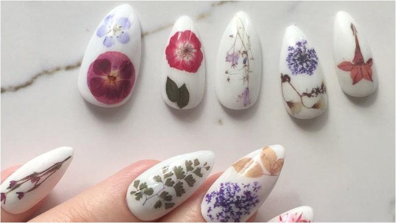 Jsfrnnailart многоразовые прессованные сушеные цветы на белом прессе на ногтях 3