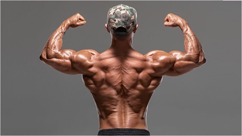 Вид Сзади Мускулистый Мужчина, Показывающий Мышцы Спины И Бицепсы, Изолированные