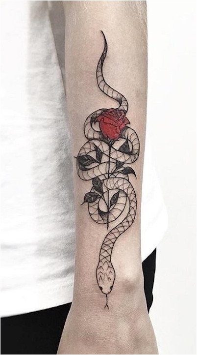 Тату змея и роза